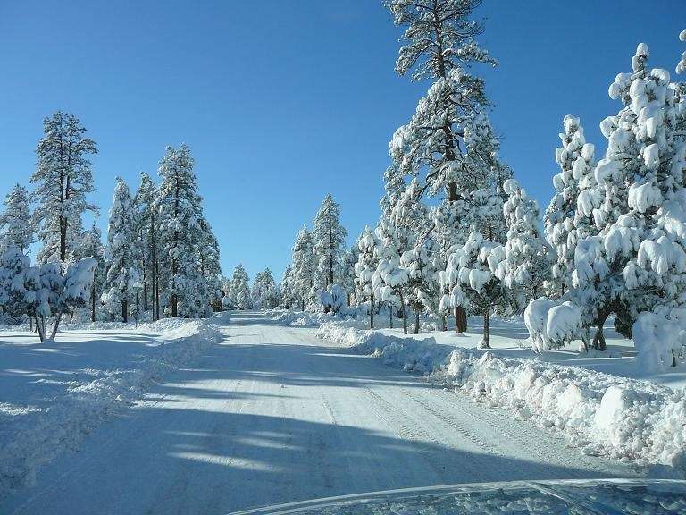 Hampton Inn & Suites Show Low-Pinetop Екстериор снимка